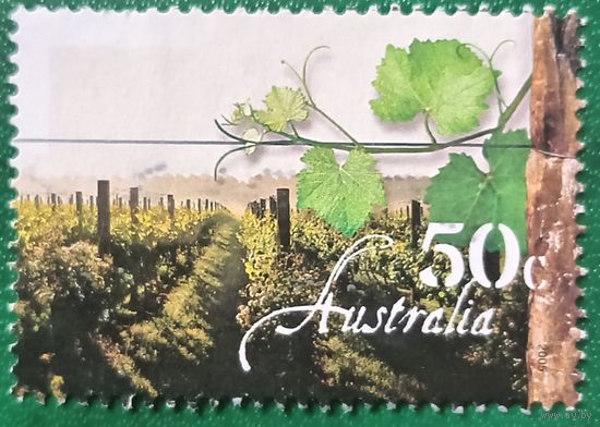 Австралия 2005. Виноградник