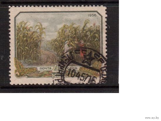 СССР-1956, (Заг.1853),  гаш.,  Сельское хоз-во