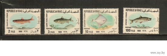 Ирак-1969(Мих.548-551) , **  , Морская  Фауна , Рыбы(полная серия)