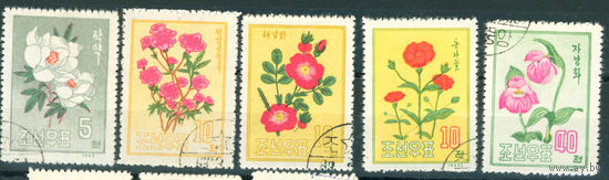 КНДР 1963_Цветы серия 5м гаш