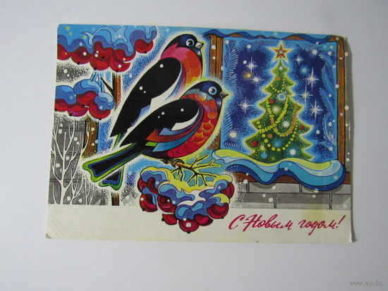 С Новым годом! Жребин. 1975 г.Снегири.