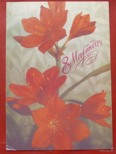 8 Марта! Чистая. 1988 года. Геодакова. 1488.