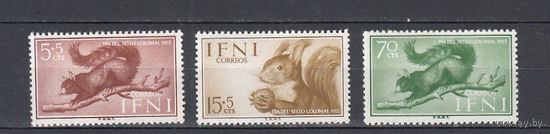 Фауна. Белки. Ифни. 1958. 3 марки (полная серия). Michel N 154-156 (2,0 е)