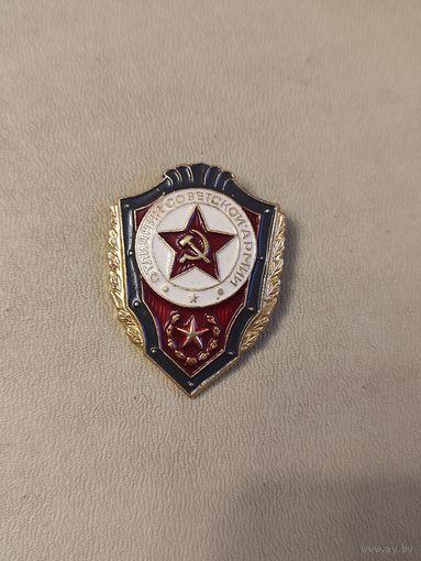 Значок отличник советской армии.