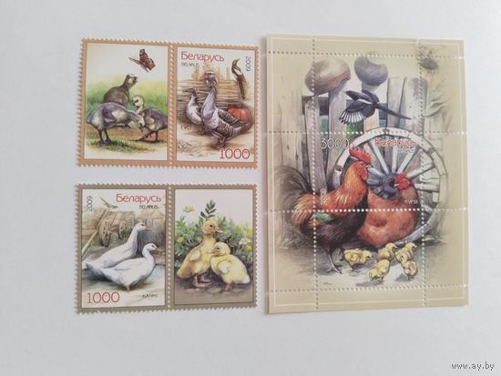 Беларусь 2009   2 м+2 куп.+бл. домашние птицы