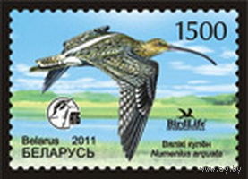 2011. 866. Большой кроншнеп **