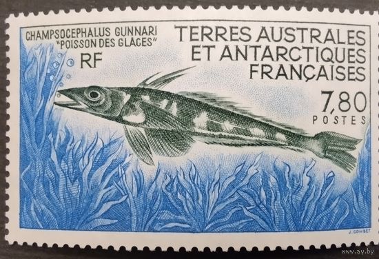 Французские антарктические территории. 1991г. Рыба.