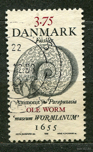 Доисторические окаменелости. Аммонит. Дания. 1998