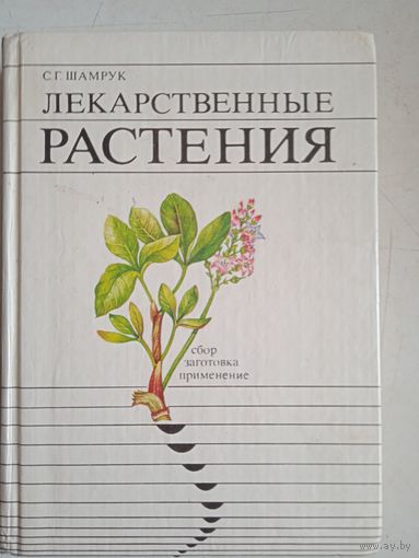Лекарственные растения.сбор заготовка и применение