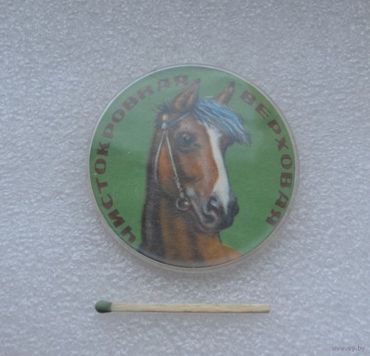 Чистокровная верховая.