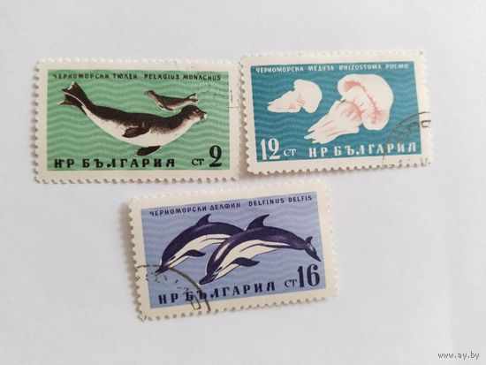 Болгария 1961 3м морск.животн.