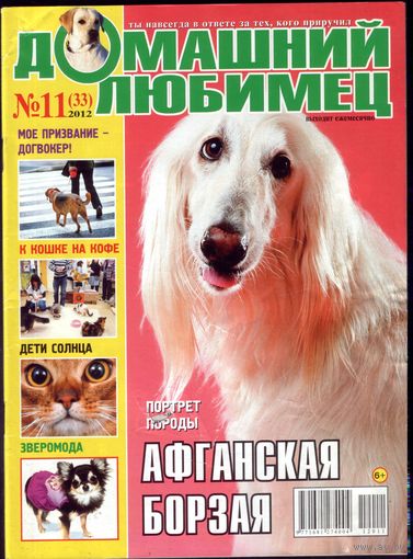 Домашний любимец #33