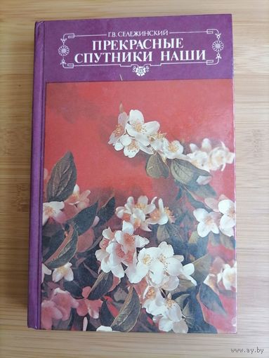 Книга. Прекрасные спутники наши