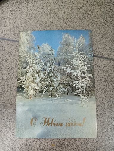 Буркина с новым годом 1989 подписана