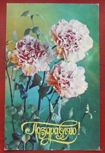 Поздравляю! Подписанная. 1980 года. Костенко. 90.
