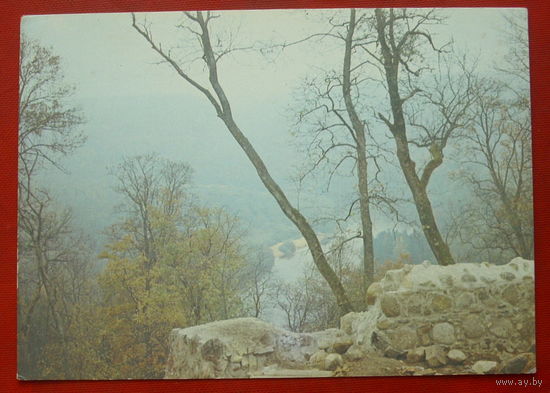 Горный пейзаж. Чистая. 1985 года. Фото Голенького. *165.
