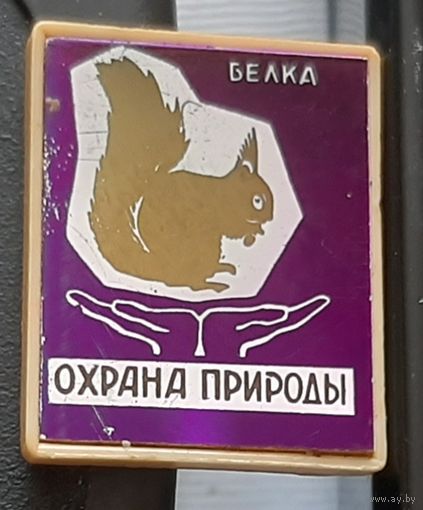 Охрана природы. Белка. Ч-6