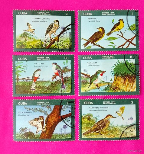 Куба. Птицы. ( 6 марок ) 1976 года. 2-13.