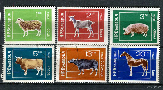 Болгария - 1974 - Животные - [Mi. 2319-2324] - полная серия - 6 марок. Гашеные и MNH.  (LOT Gh5)-T3P5