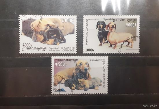 Камбоджа. 2000 год. Фауна. Собаки (795)