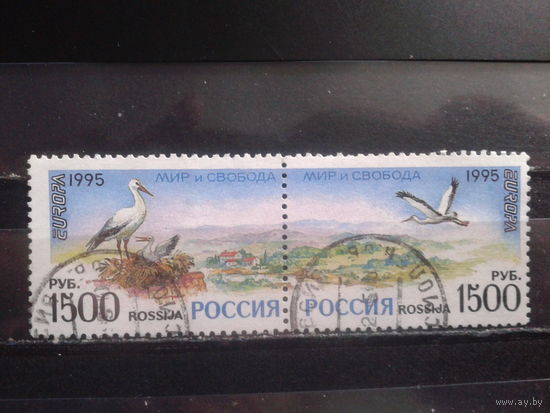 Россия 1995 Европа, мир и свобода, сцепка Михель-2,0 евро гаш