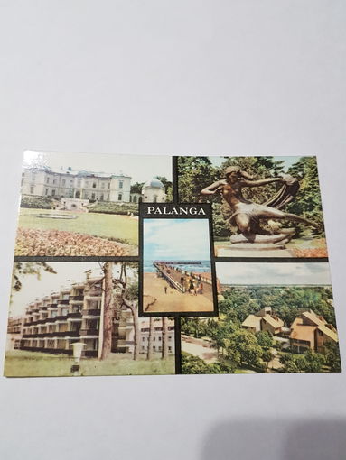 Открытка Паланга  1981 г.