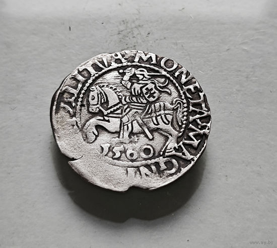 Полугрош 1560 г. Сигизмунд II Август, Вильно, лот рп-14,8