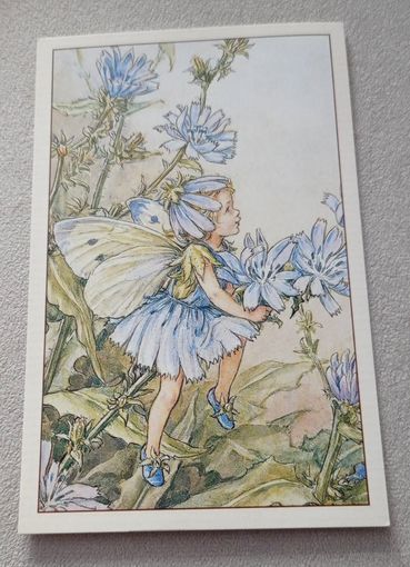 Посткроссинг. цикориевая фея  (10х15). Подписана.