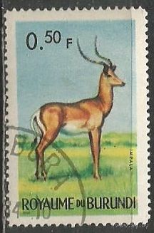 Бурунди. Животный мир страны. Импала. 1964г. Mi#88.