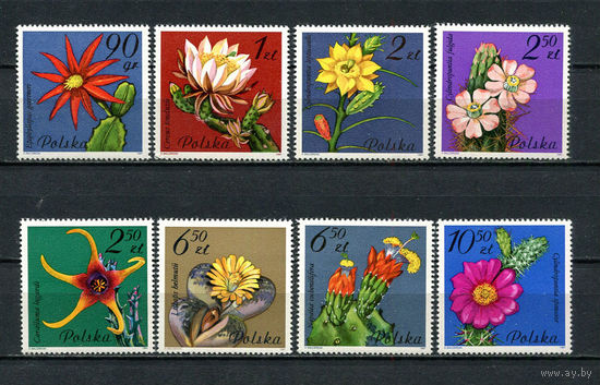 Польша - 1981 - Цветы. Кактусы. - [Mi. 2784-2791] - полная серия - 8 марок. MNH.  (Лот 98Ds)