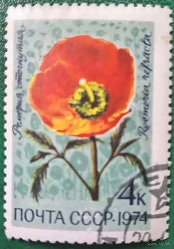 СССР 1974. Ремерия стогнутая. Марка из серии