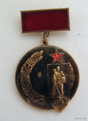 Почетный знак СКВВ