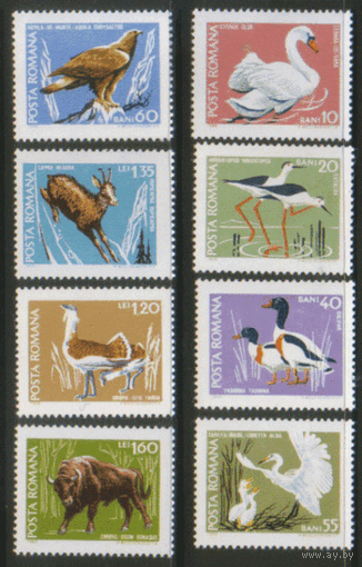 РУМ. М. 2724/31. 1968. Фауна. ЧиСт.