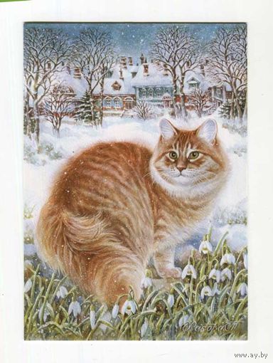 Открытка. Фауна. Животные. Кот. Коты. Котики. Подснежники. Худ. Т.Хазова (чистая)