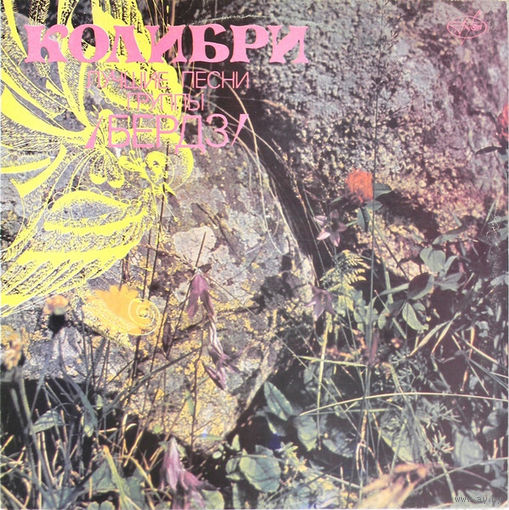 Бердз – Колибри