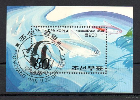 Рыбы КНДР 1991 год 1 блок