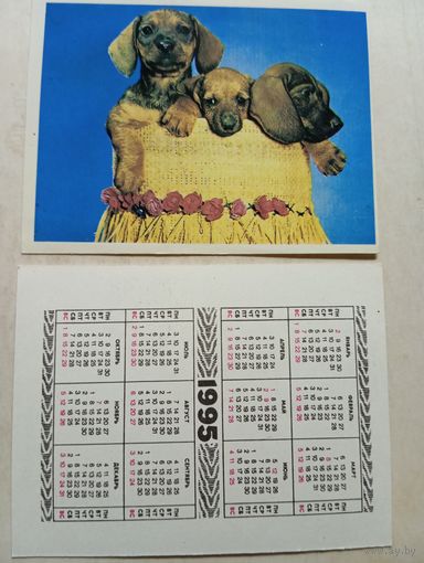 Карманный календарик. Собаки. 1995 год