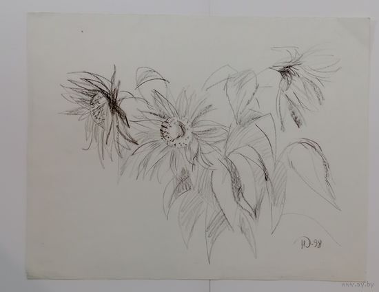 Рисунок 35х45