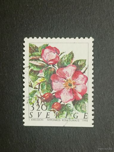 Швеция 1994. Розы