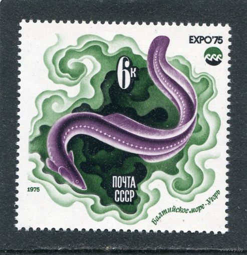 СССР 1975. Угорь