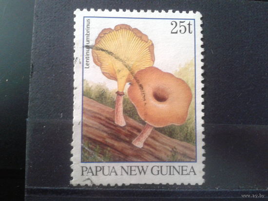 Папуа Новая Гвинея, 1996. Грибы,  К 12