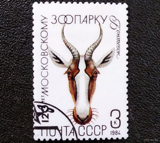 Марка СССР 1984 гол 120 лет Московскому зоопарку