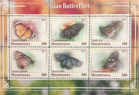 Мавритания 2017. Фауна. Бабочки. Малый лист