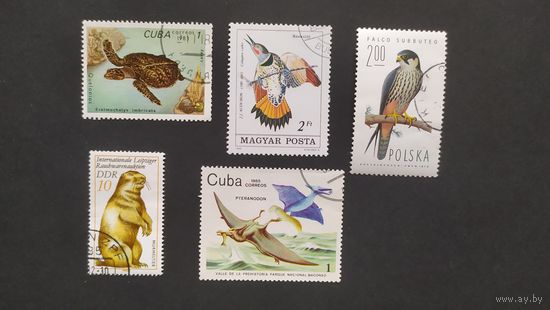 Лот 27 разные марки