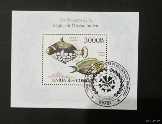 ФАУНА РЫБЫ МОРСКИЕ ОБИТАТЕЛИ    БЛОК  сто