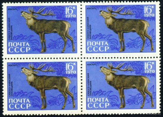Сихотэ-Алинский заповедник Фауна СССР 1970 год квартблок