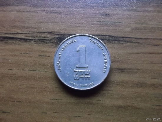 Израиль 1 новый шекель 1993