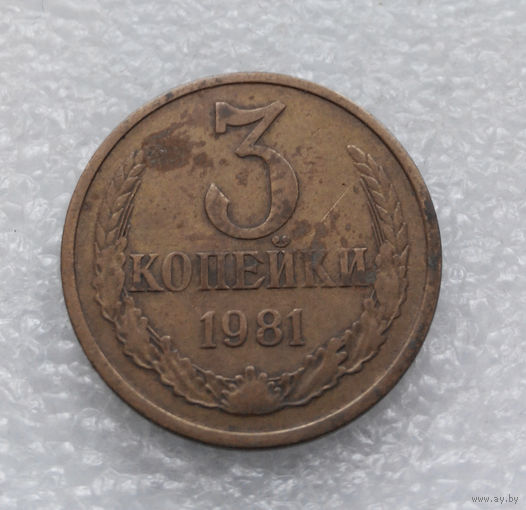 3 копейки 1981 СССР #05