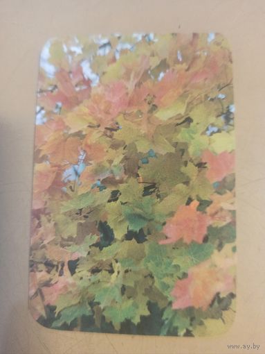 Календарь 1989/13