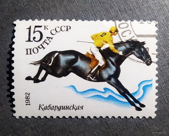 Марка СССР 1982 год Коневодство
